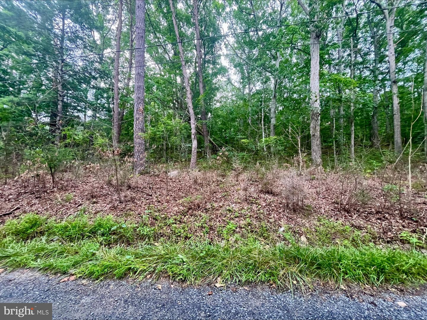 OAK LANE, LURAY, Virginia 22835, ,Land,For sale,OAK LANE,VAPA2005118 MLS # VAPA2005118