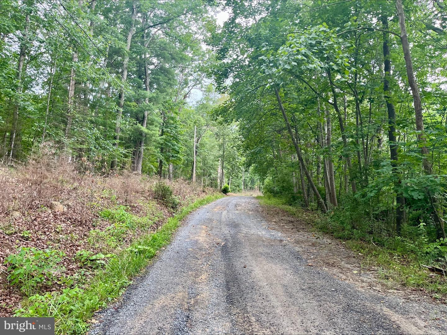 OAK LANE, LURAY, Virginia 22835, ,Land,For sale,OAK LANE,VAPA2005118 MLS # VAPA2005118