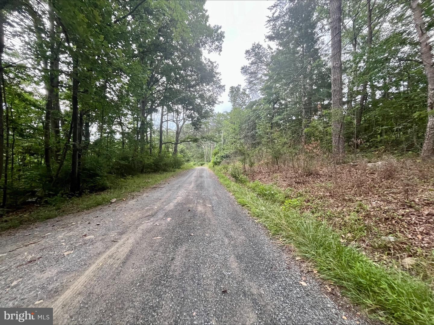 OAK LANE, LURAY, Virginia 22835, ,Land,For sale,OAK LANE,VAPA2005118 MLS # VAPA2005118