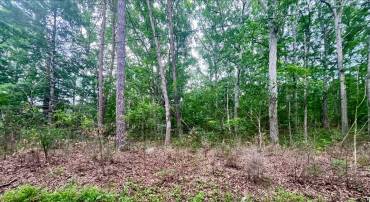 OAK LANE, LURAY, Virginia 22835, ,Land,For sale,OAK LANE,VAPA2005118 MLS # VAPA2005118