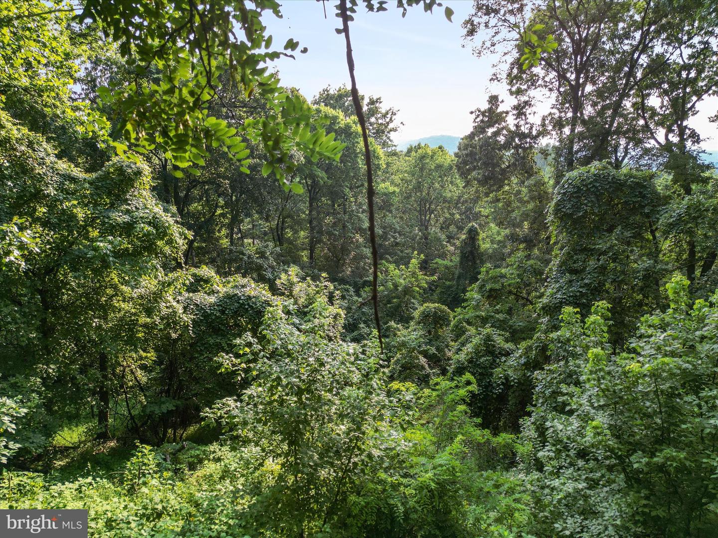 LOT 25 DOOM PEAK RD, LINDEN, Virginia 22642, ,Land,For sale,LOT 25 DOOM PEAK RD,VAWR2011672 MLS # VAWR2011672