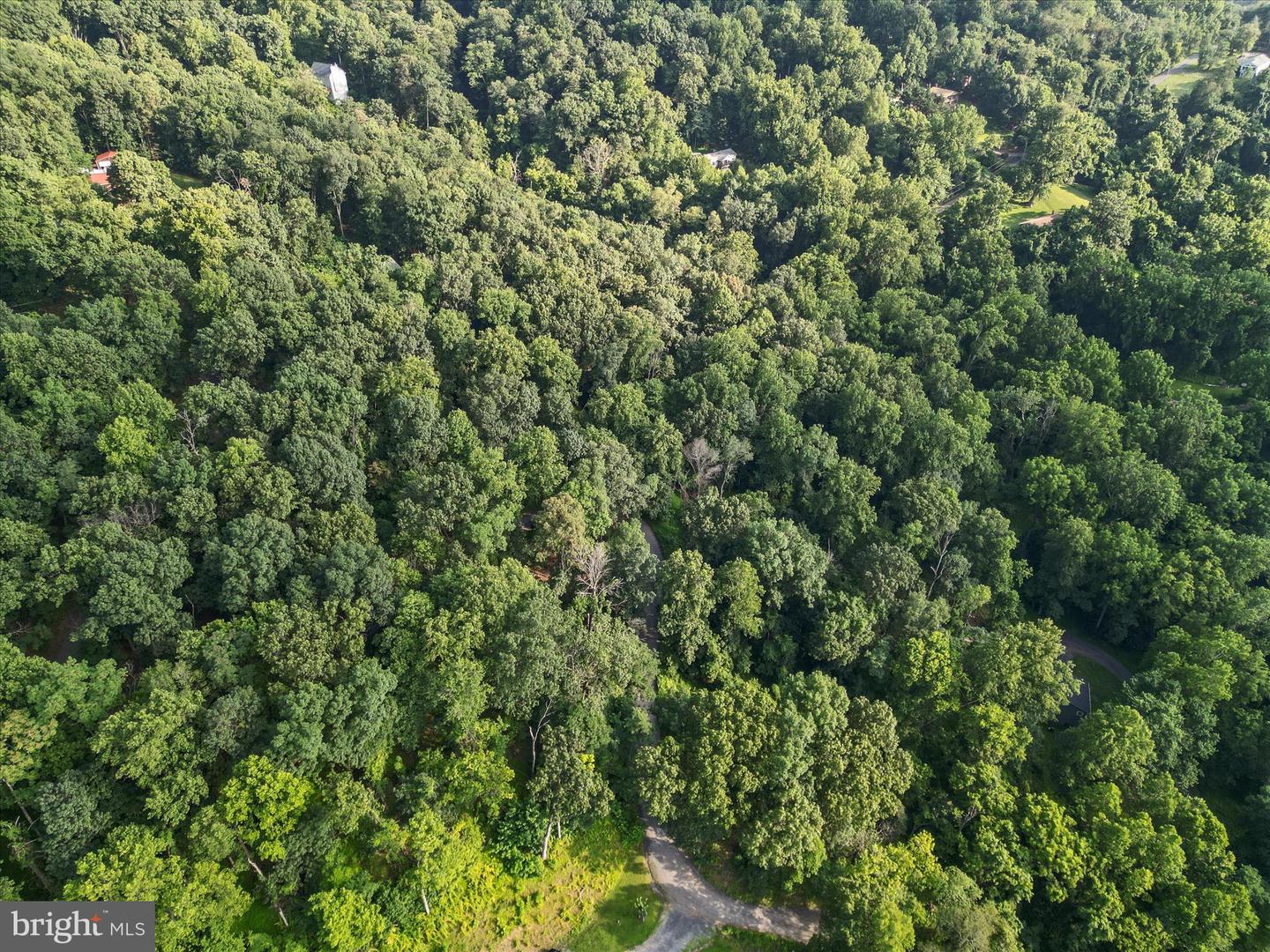 LOT 25 DOOM PEAK RD, LINDEN, Virginia 22642, ,Land,For sale,LOT 25 DOOM PEAK RD,VAWR2011672 MLS # VAWR2011672
