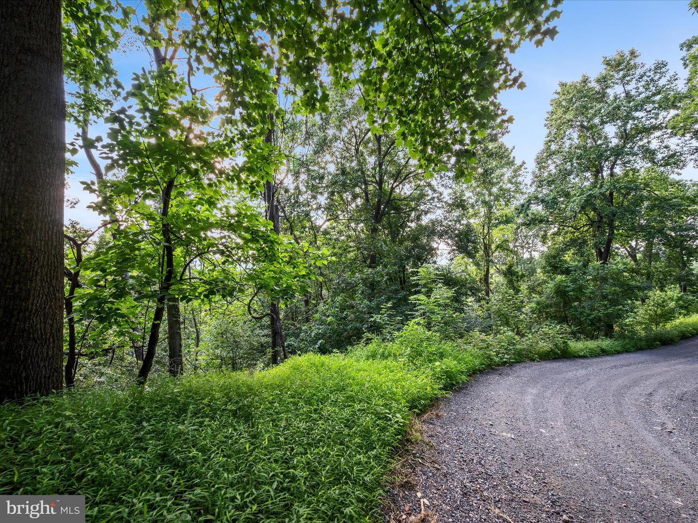 LOT 25 DOOM PEAK RD, LINDEN, Virginia 22642, ,Land,For sale,LOT 25 DOOM PEAK RD,VAWR2011672 MLS # VAWR2011672