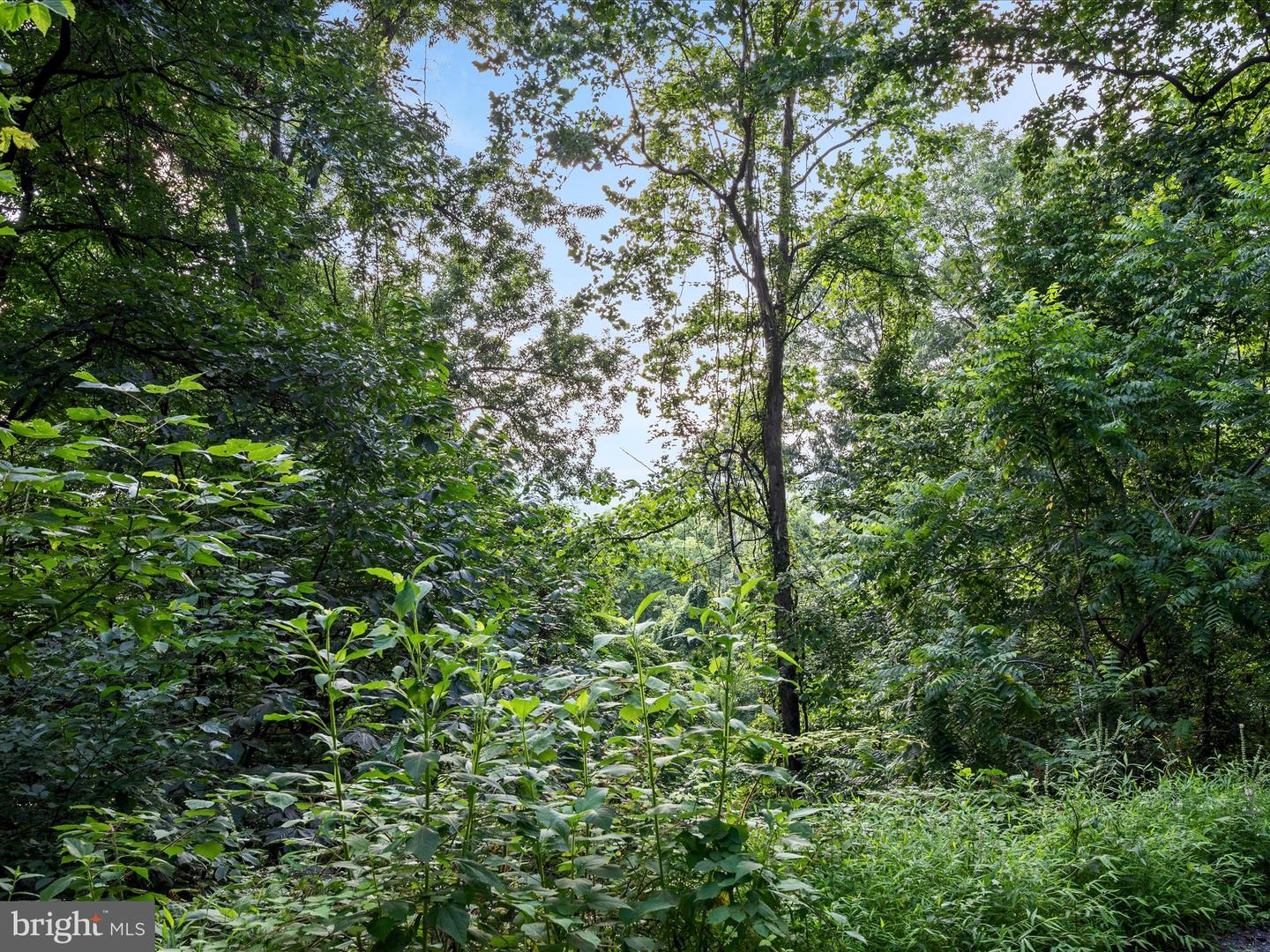 LOT 25 DOOM PEAK RD, LINDEN, Virginia 22642, ,Land,For sale,LOT 25 DOOM PEAK RD,VAWR2011672 MLS # VAWR2011672