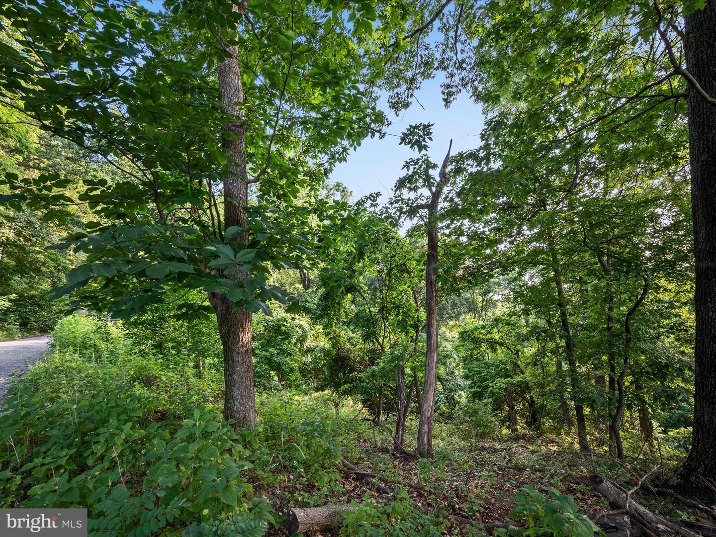 LOT 25 DOOM PEAK RD, LINDEN, Virginia 22642, ,Land,For sale,LOT 25 DOOM PEAK RD,VAWR2011672 MLS # VAWR2011672