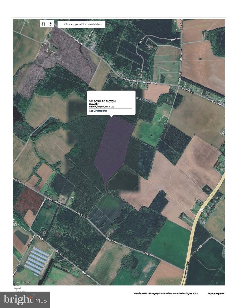 0 NELSONIA RD, BLOXOM, Virginia 23308, ,Land,For sale,0 NELSONIA RD,VAAC2002050 MLS # VAAC2002050