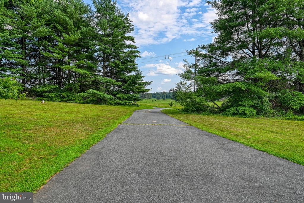 3716 MARTIN KINGS RD, CHARLOTTESVILLE, Virginia 22902, 4 Bedrooms Bedrooms, ,3 BathroomsBathrooms,Residential,3716 MARTIN KINGS RD,VAAB2001044 MLS # VAAB2001044