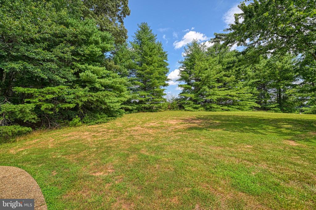3716 MARTIN KINGS RD, CHARLOTTESVILLE, Virginia 22902, 4 Bedrooms Bedrooms, ,3 BathroomsBathrooms,Residential,3716 MARTIN KINGS RD,VAAB2001044 MLS # VAAB2001044