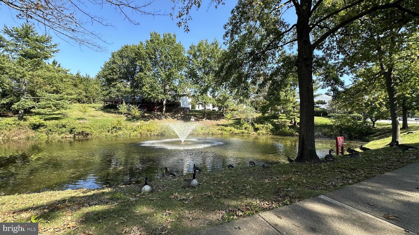 7000 GATTON SQ, ALEXANDRIA, Virginia 22315, 4 Bedrooms Bedrooms, ,3 BathroomsBathrooms,Residential,For sale,7000 GATTON SQ,VAFX2242804 MLS # VAFX2242804