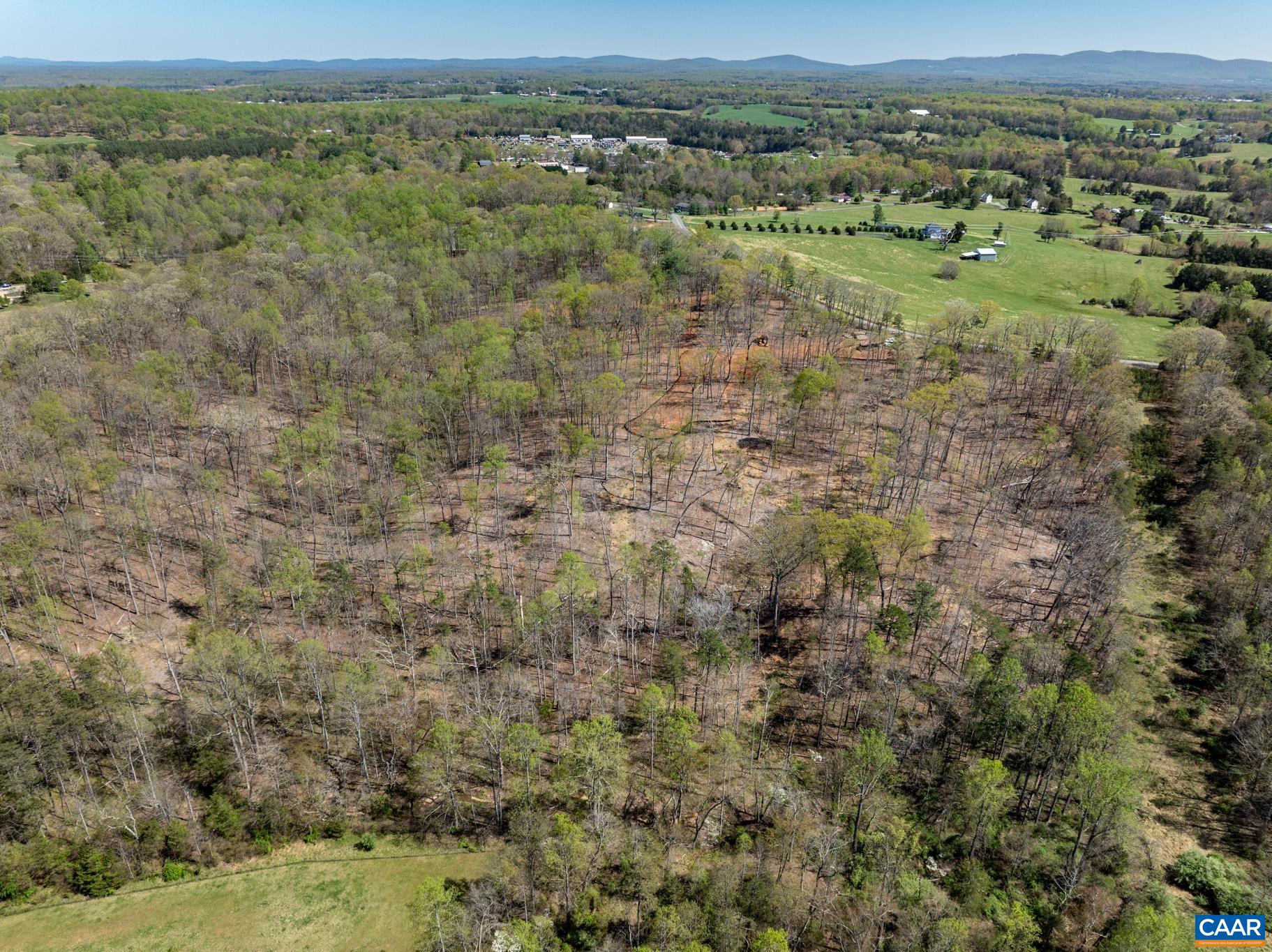 103 PEA RIDGE RD, STANARDSVILLE, Virginia 22973, 4 Bedrooms Bedrooms, ,2 BathroomsBathrooms,Residential,The Rehoboth,103 PEA RIDGE RD,666607 MLS # 666607