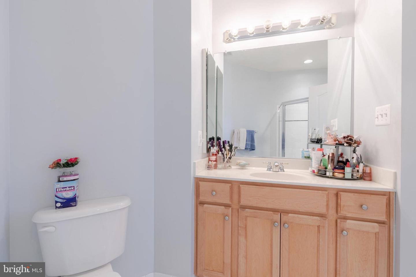 19363 MILL DAM PL, LEESBURG, Virginia 20176, 5 Bedrooms Bedrooms, ,4 BathroomsBathrooms,Residential,For sale,19363 MILL DAM PL,VALO2100682 MLS # VALO2100682