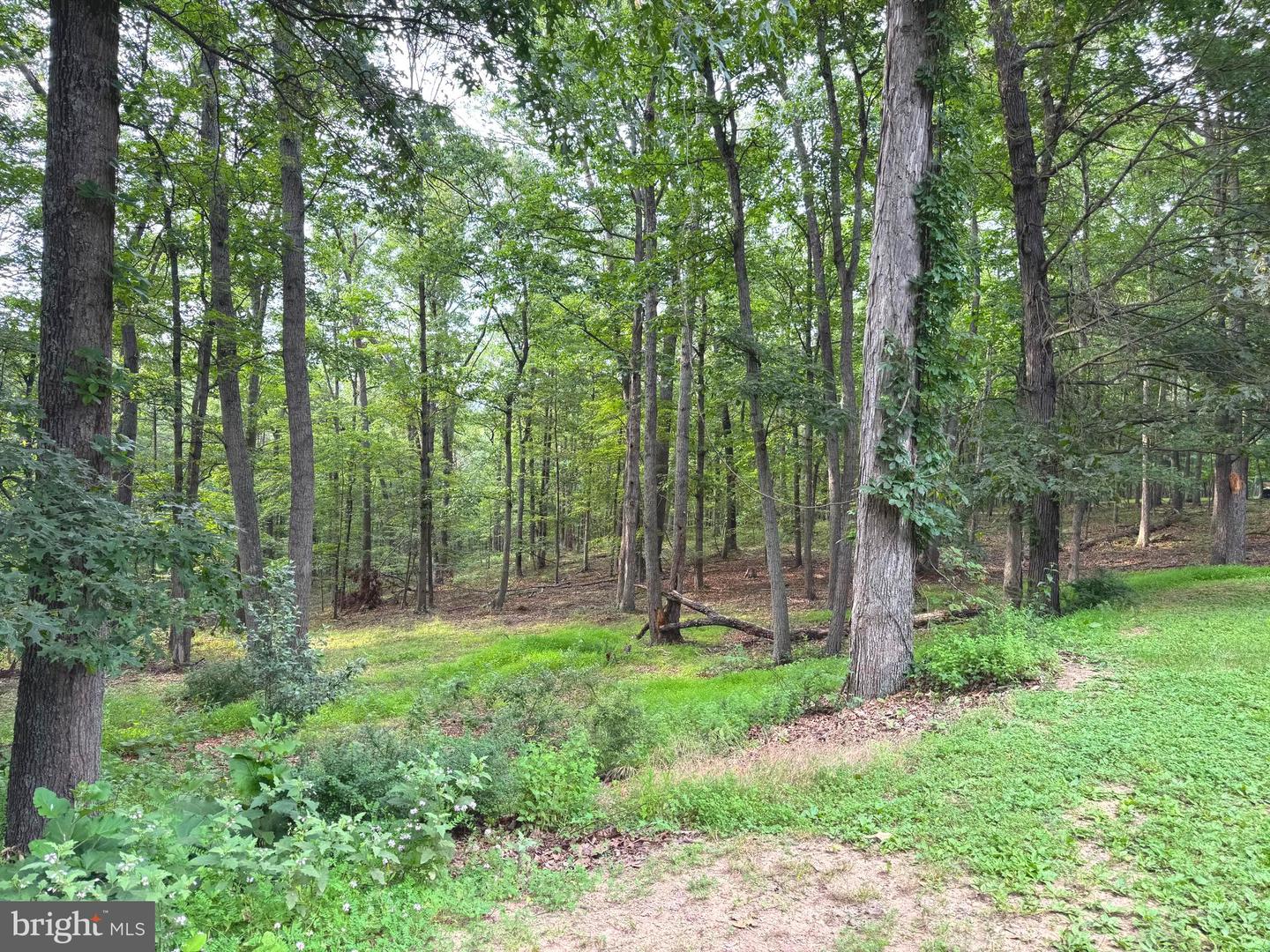 311 AKERN LN, CROSS JUNCTION, Virginia 22625, 3 Bedrooms Bedrooms, ,2 BathroomsBathrooms,Residential,For sale,311 AKERN LN,VAFV2035162 MLS # VAFV2035162