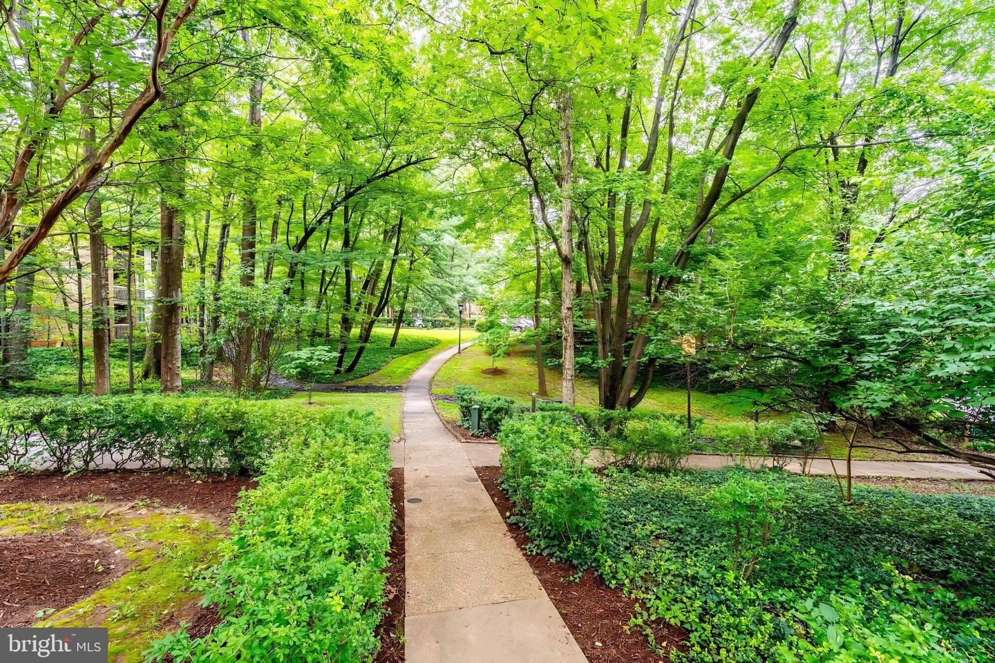 1568 MOORINGS DR #11B, RESTON, Virginia 20190, 2 Bedrooms Bedrooms, ,1 BathroomBathrooms,Residential,For sale,1568 MOORINGS DR #11B,VAFX2252824 MLS # VAFX2252824