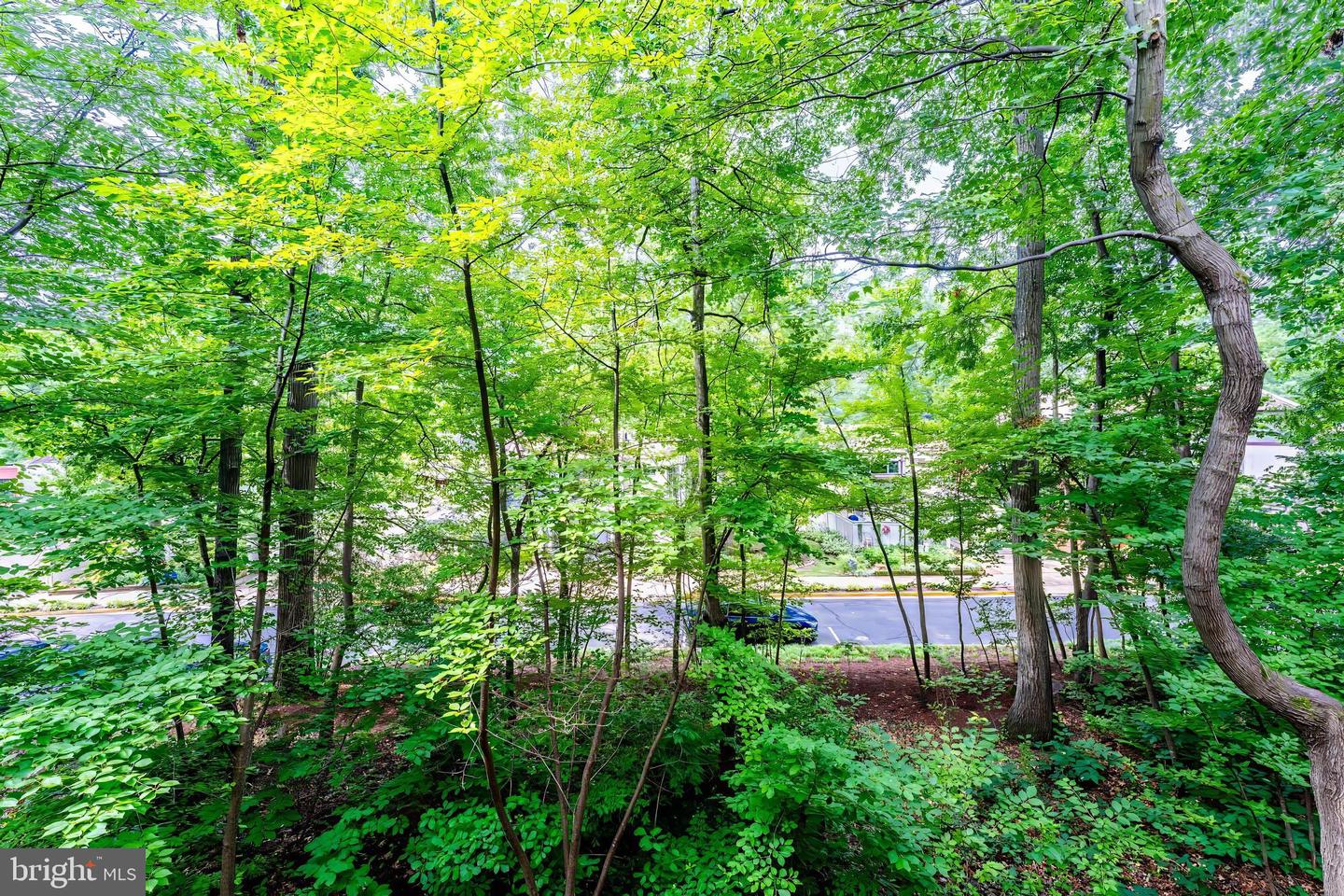 1568 MOORINGS DR #11B, RESTON, Virginia 20190, 2 Bedrooms Bedrooms, ,1 BathroomBathrooms,Residential,For sale,1568 MOORINGS DR #11B,VAFX2252824 MLS # VAFX2252824