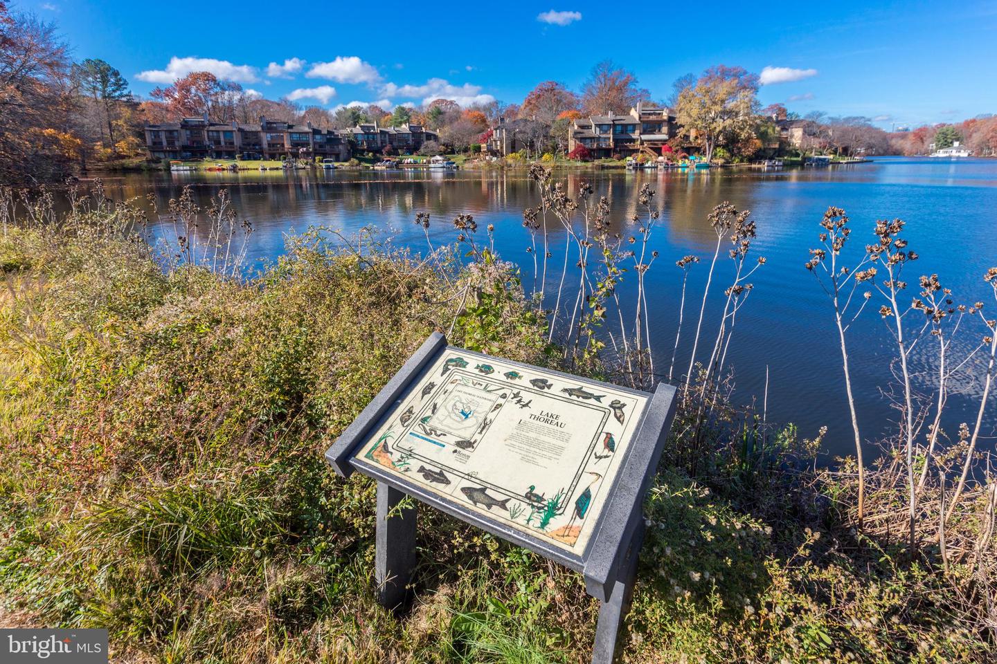 1568 MOORINGS DR #11B, RESTON, Virginia 20190, 2 Bedrooms Bedrooms, ,1 BathroomBathrooms,Residential,For sale,1568 MOORINGS DR #11B,VAFX2252824 MLS # VAFX2252824