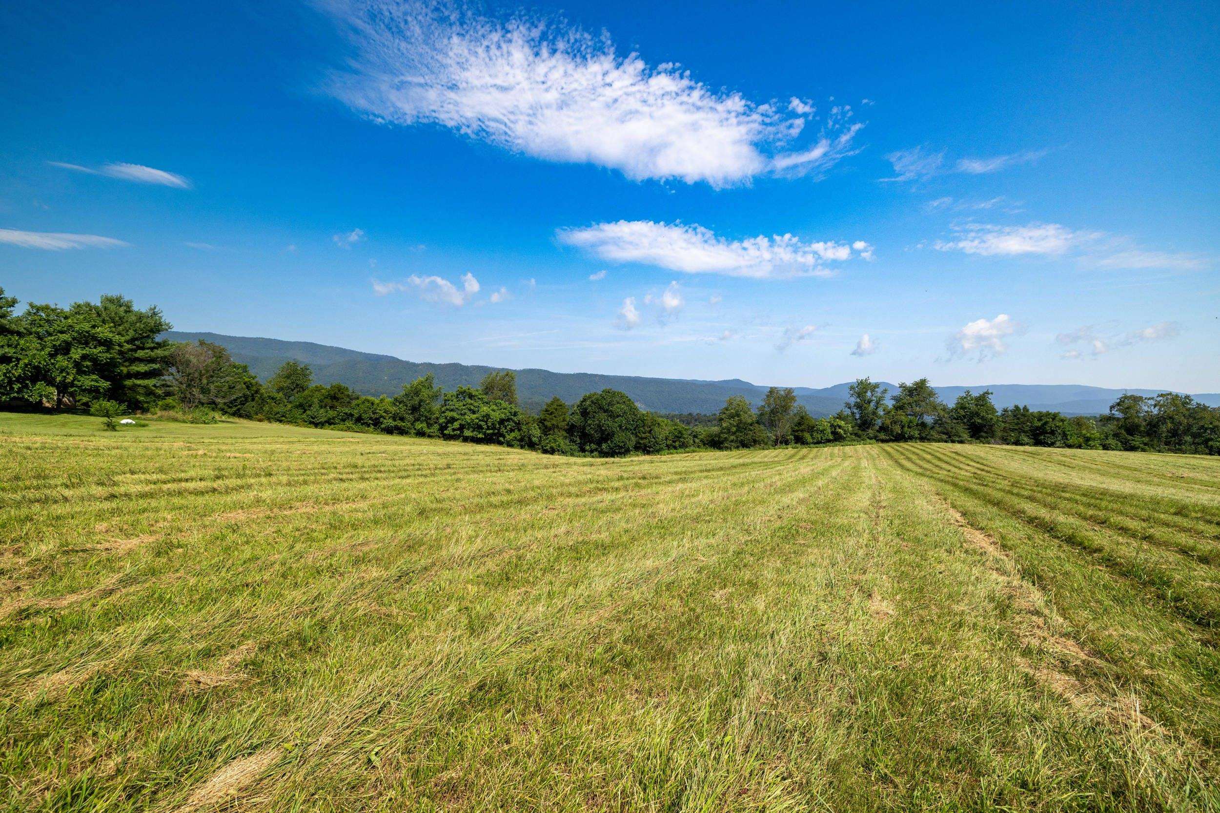 TBD ESTHER'S LOOKOUT, SHENANDOAH, Virginia 22849, ,Land,TBD ESTHER'S LOOKOUT,666620 MLS # 666620