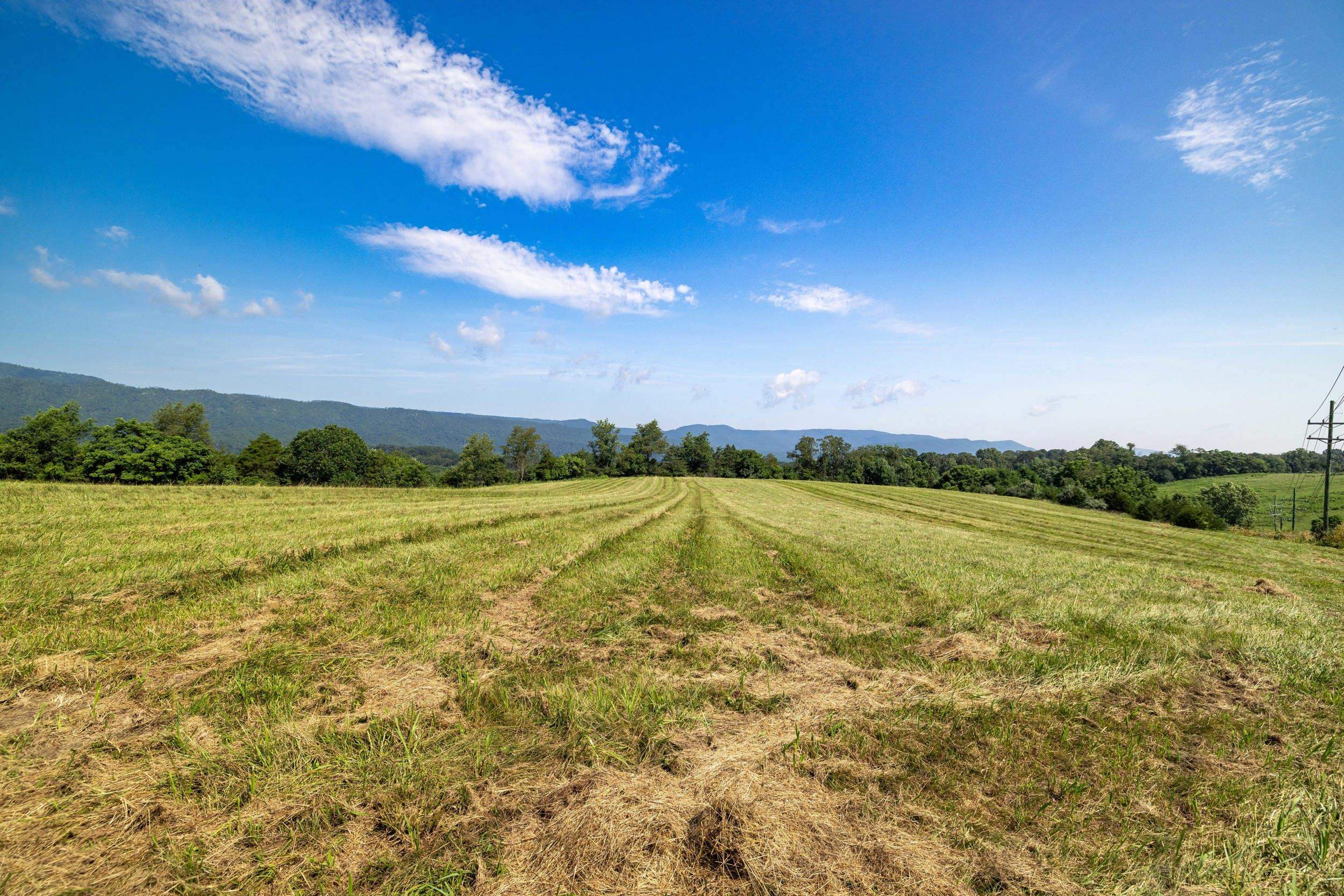TBD ESTHER'S LOOKOUT, SHENANDOAH, Virginia 22849, ,Land,TBD ESTHER'S LOOKOUT,666620 MLS # 666620