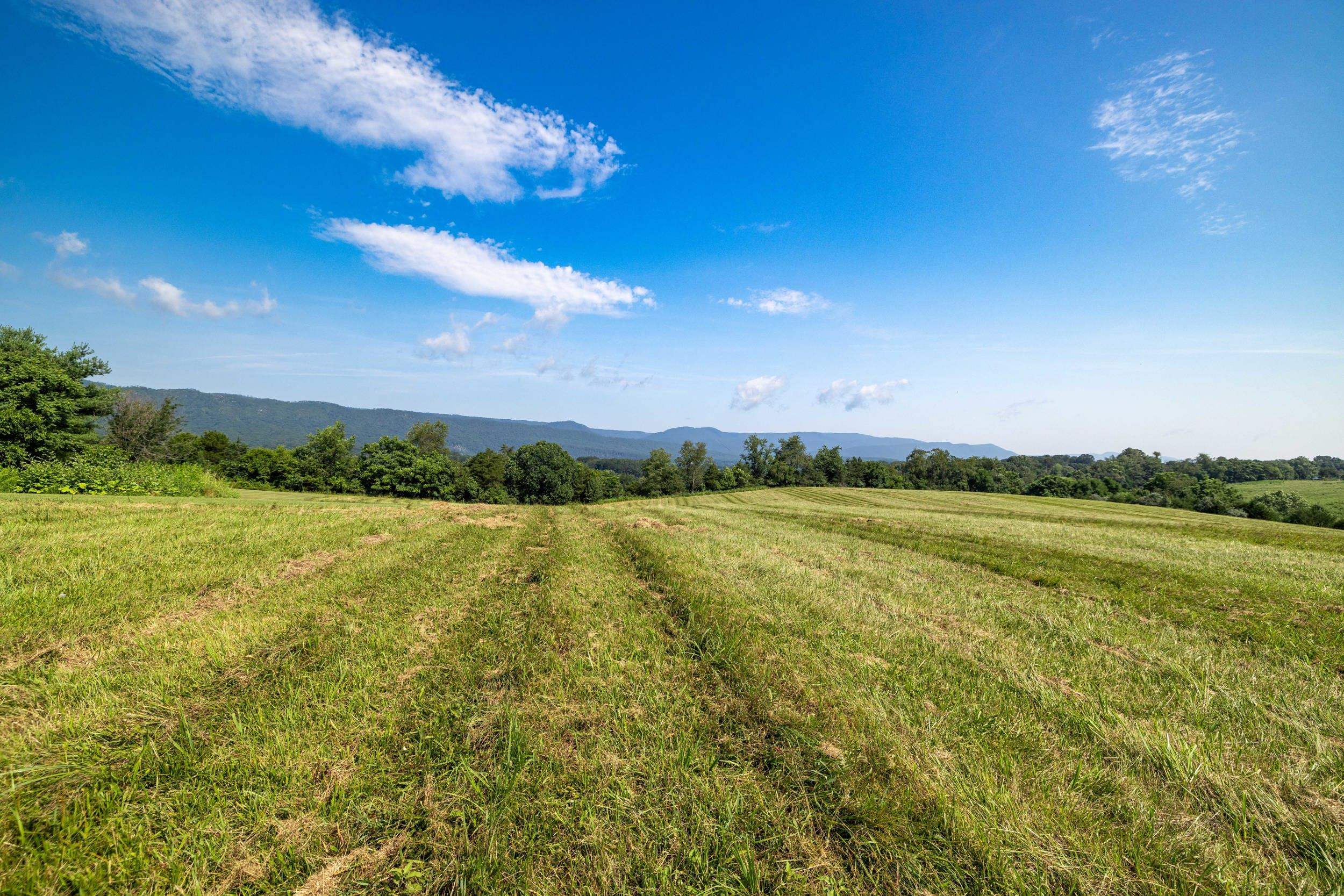 TBD ESTHER'S LOOKOUT, SHENANDOAH, Virginia 22849, ,Land,TBD ESTHER'S LOOKOUT,666620 MLS # 666620