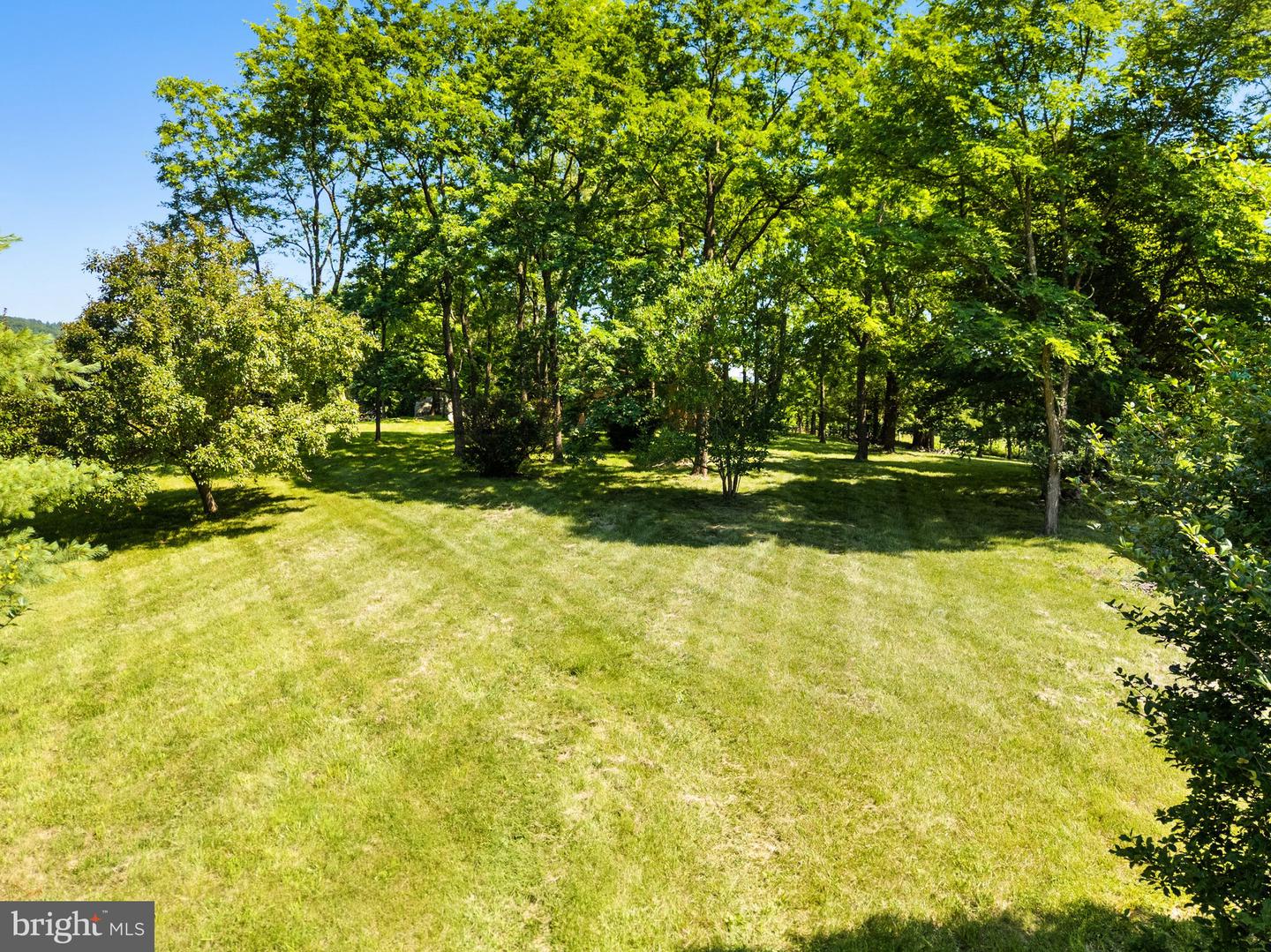 11404 APPLE MANOR RD, MARKHAM, Virginia 22643, 1 Bedroom Bedrooms, ,1 BathroomBathrooms,Residential,For sale,11404 APPLE MANOR RD,VAFQ2017384 MLS # VAFQ2017384