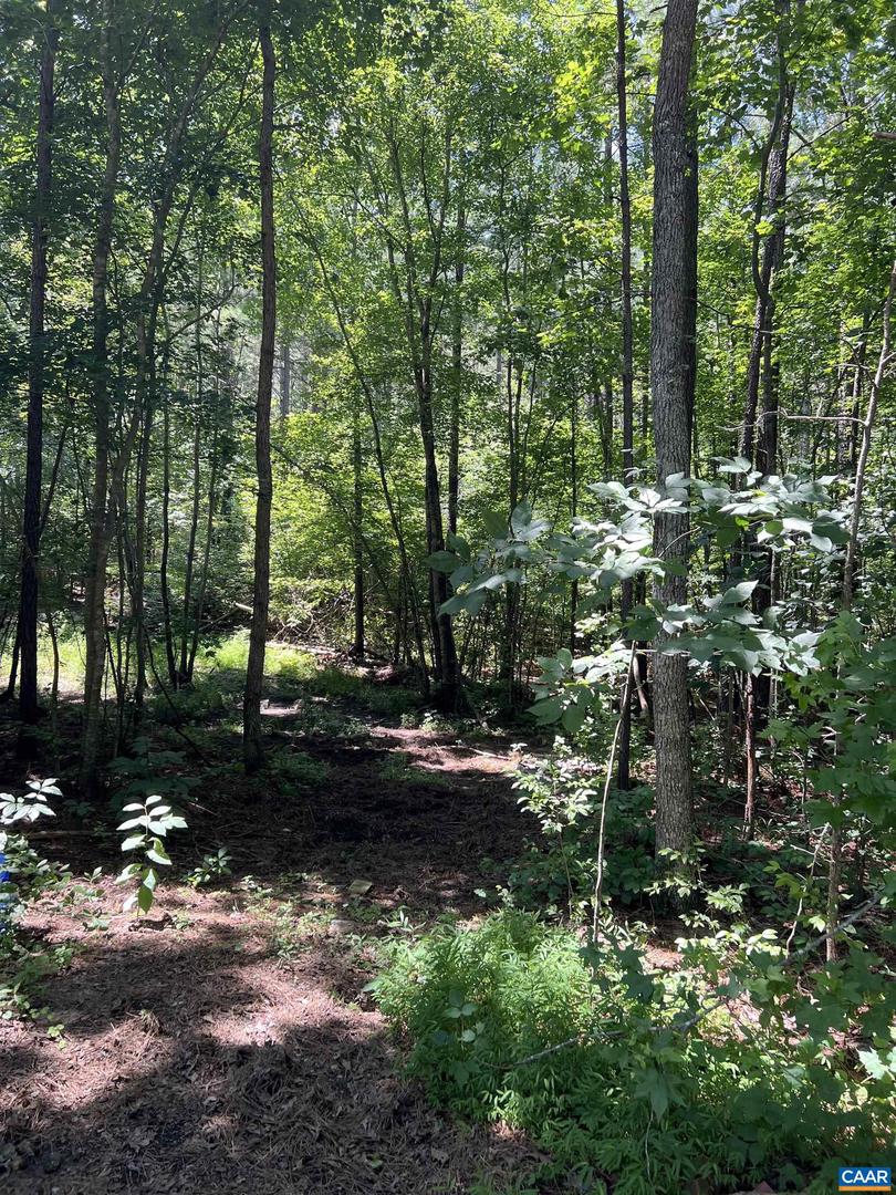 LOT 6 RICHMOND RD, AMELIA COURT HOUSE, Virginia 23002, ,Land,For sale,LOT 6 RICHMOND RD,666390 MLS # 666390