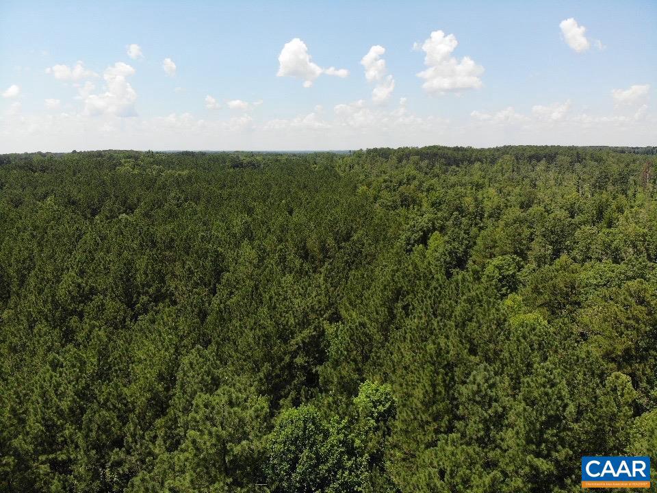 LOT 6 RICHMOND RD, AMELIA COURT HOUSE, Virginia 23002, ,Land,For sale,LOT 6 RICHMOND RD,666390 MLS # 666390