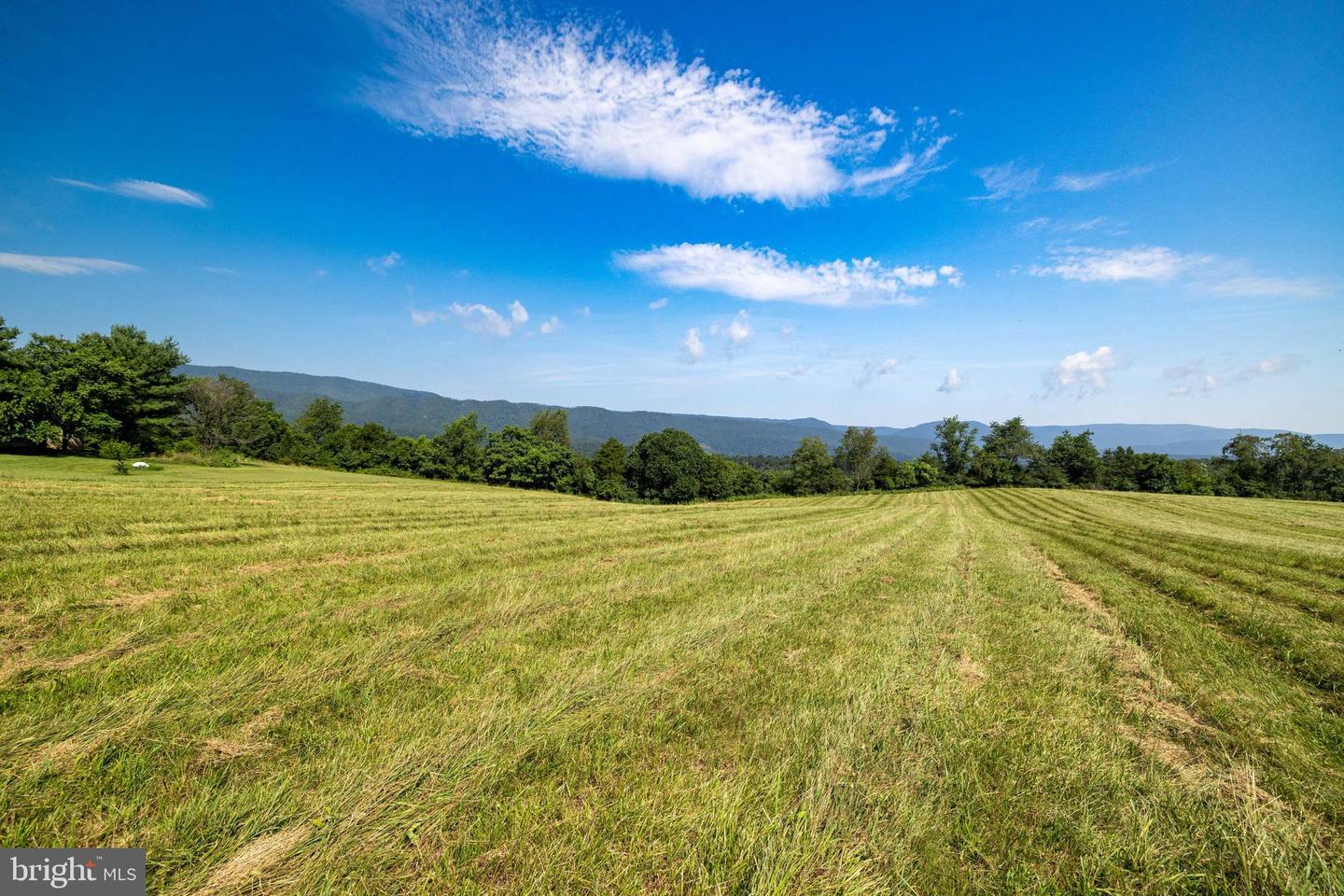 TBD ESTHERS LOOKOUT, SHENANDOAH, Virginia 22849, ,Land,For sale,TBD ESTHERS LOOKOUT,VAPA2005120 MLS # VAPA2005120