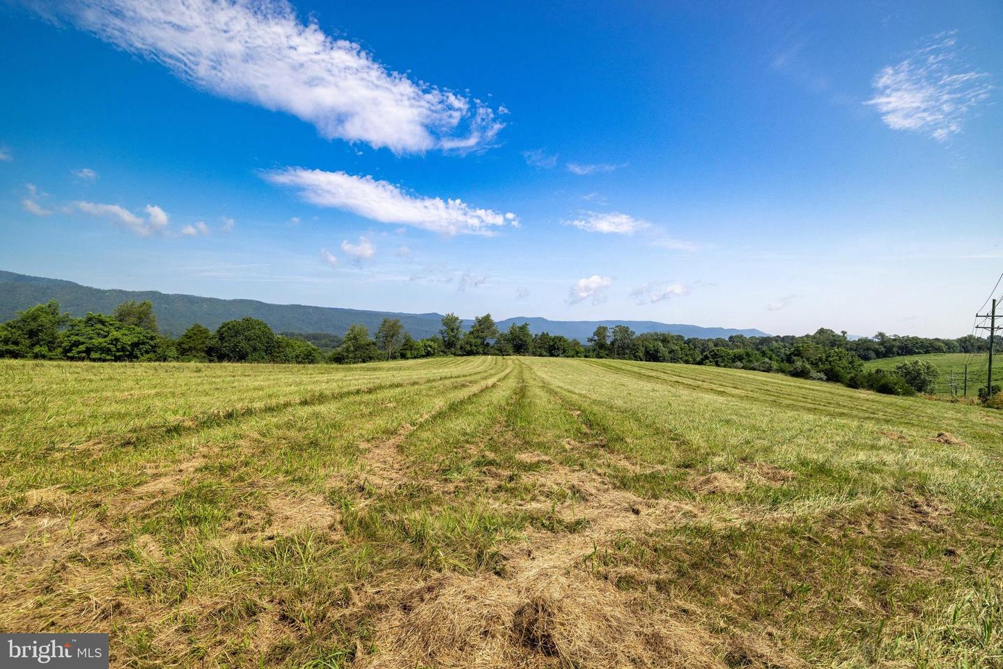 TBD ESTHERS LOOKOUT, SHENANDOAH, Virginia 22849, ,Land,For sale,TBD ESTHERS LOOKOUT,VAPA2005120 MLS # VAPA2005120