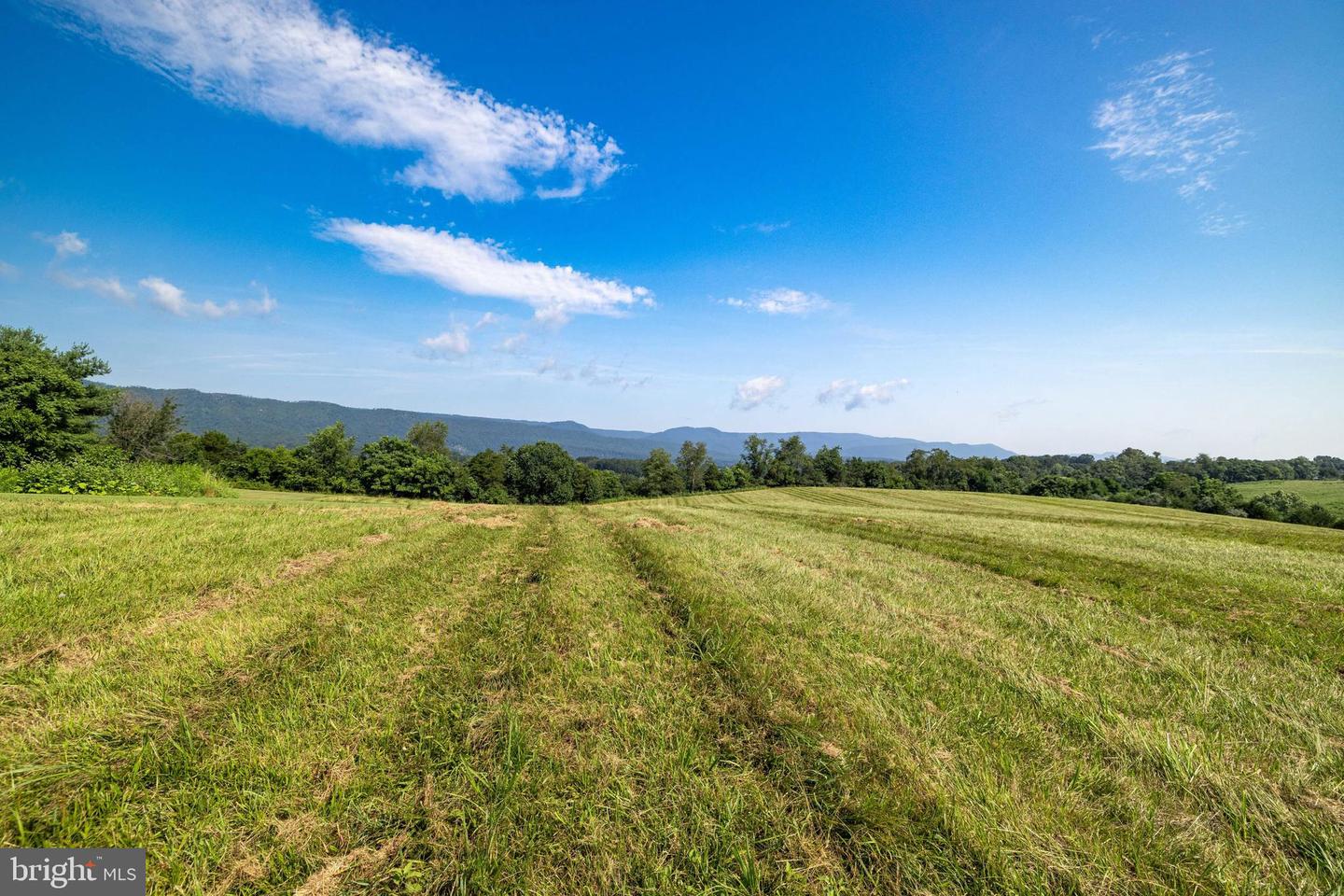TBD ESTHERS LOOKOUT, SHENANDOAH, Virginia 22849, ,Land,For sale,TBD ESTHERS LOOKOUT,VAPA2005120 MLS # VAPA2005120