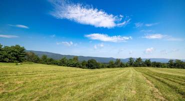 TBD ESTHERS LOOKOUT, SHENANDOAH, Virginia 22849, ,Land,For sale,TBD ESTHERS LOOKOUT,VAPA2005120 MLS # VAPA2005120