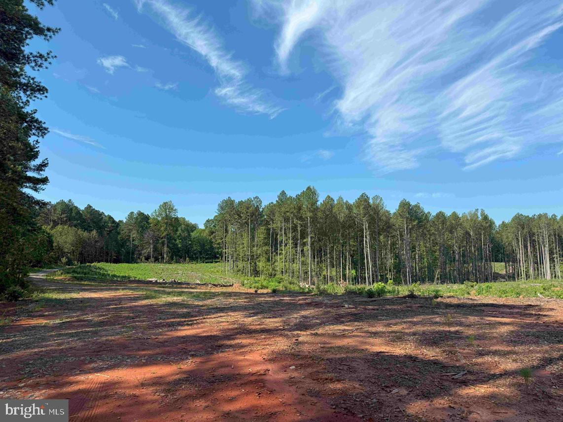 BANNISTER TOWN ROAD (TRACT DTOF LOUISA), LOUISA, Virginia 23093, ,Farm,For sale,BANNISTER TOWN ROAD (TRACT DTOF LOUISA),VALA2008244 MLS # VALA2008244