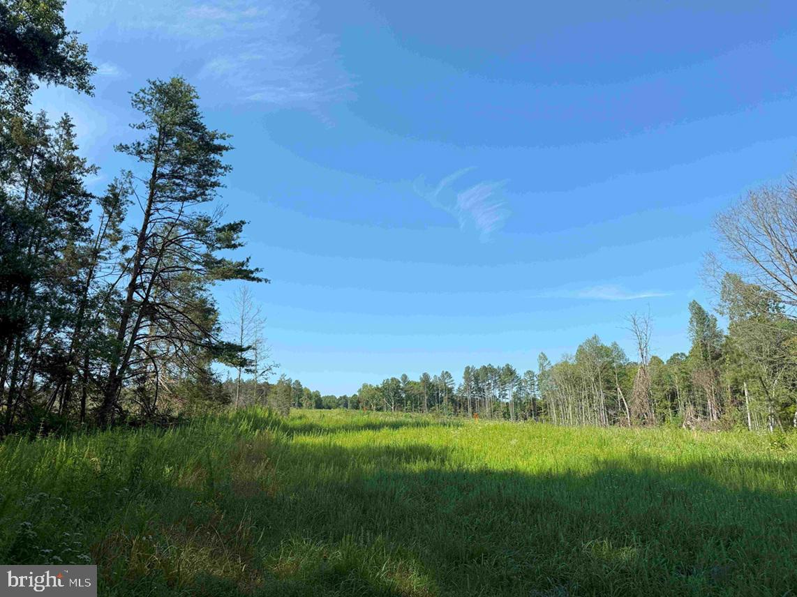 BANNISTER TOWN ROAD (TRACT DTOF LOUISA), LOUISA, Virginia 23093, ,Farm,For sale,BANNISTER TOWN ROAD (TRACT DTOF LOUISA),VALA2008244 MLS # VALA2008244