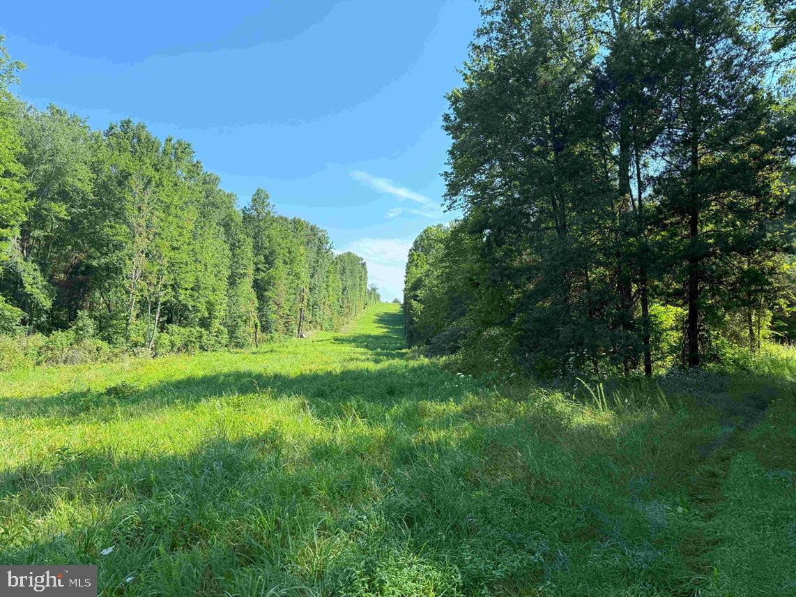 BANNISTER TOWN ROAD (TRACT DTOF LOUISA), LOUISA, Virginia 23093, ,Farm,For sale,BANNISTER TOWN ROAD (TRACT DTOF LOUISA),VALA2008244 MLS # VALA2008244