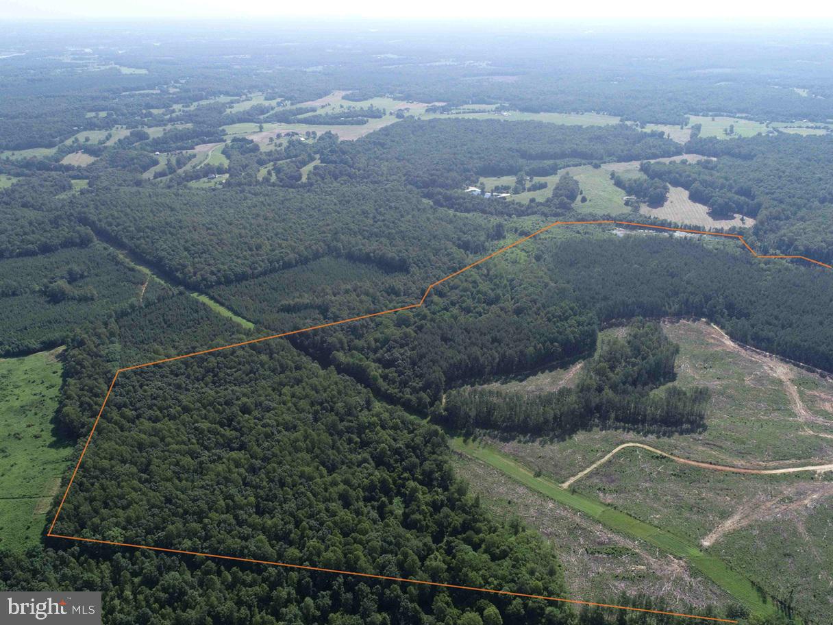 BANNISTER TOWN ROAD (TRACT DTOF LOUISA), LOUISA, Virginia 23093, ,Farm,For sale,BANNISTER TOWN ROAD (TRACT DTOF LOUISA),VALA2008244 MLS # VALA2008244