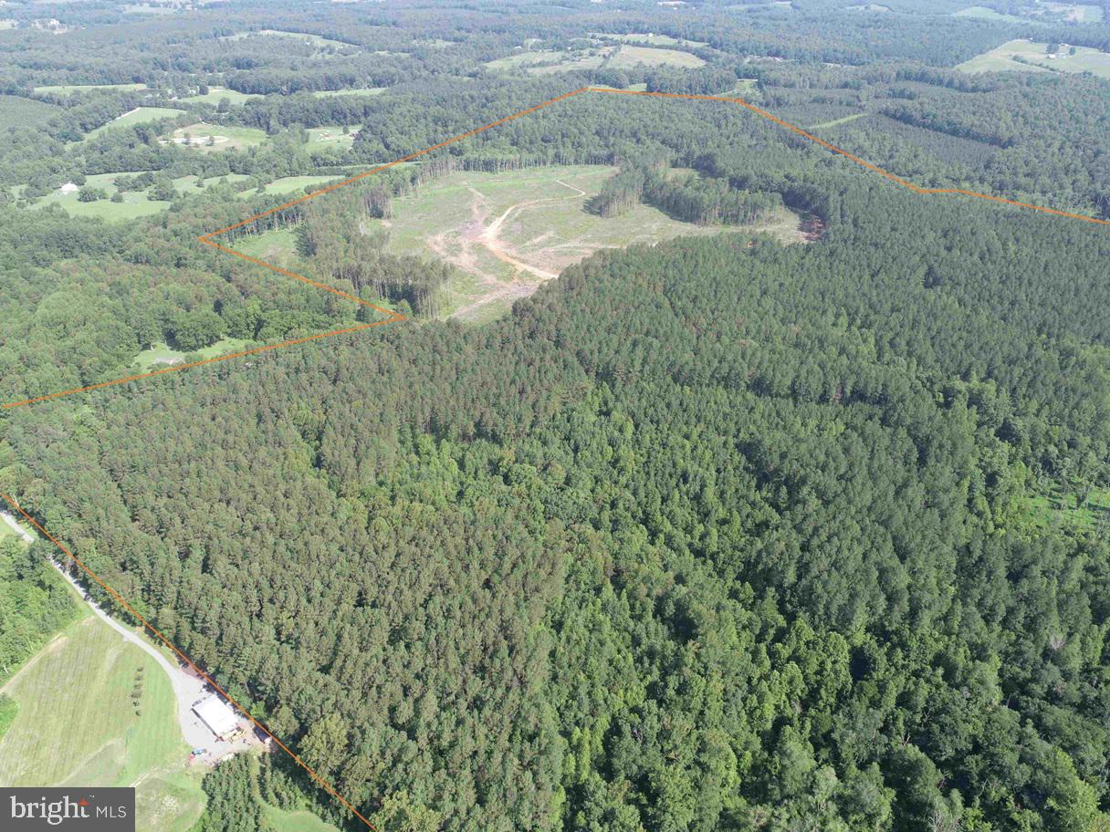 BANNISTER TOWN ROAD (TRACT DTOF LOUISA), LOUISA, Virginia 23093, ,Farm,For sale,BANNISTER TOWN ROAD (TRACT DTOF LOUISA),VALA2008244 MLS # VALA2008244