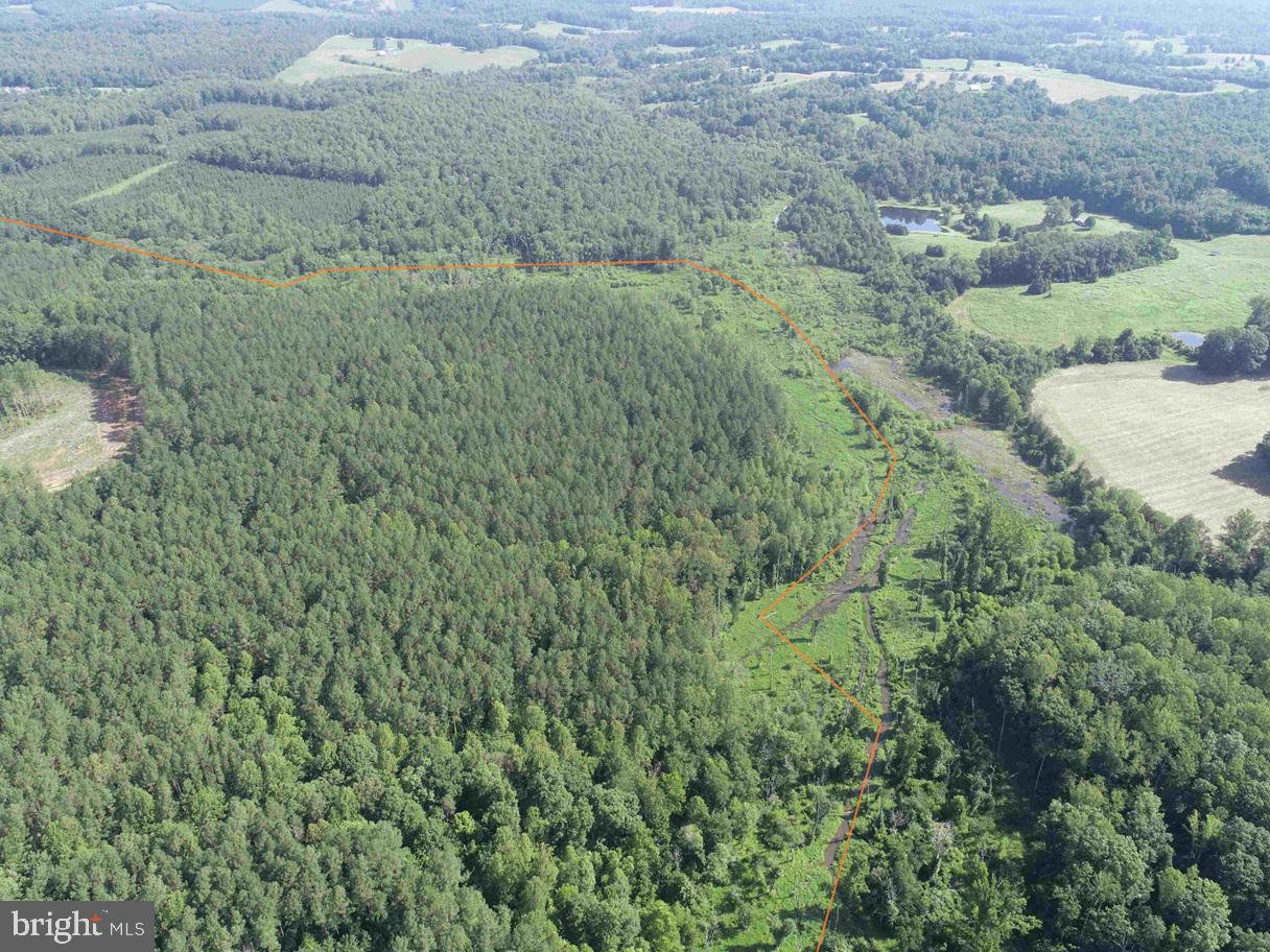 BANNISTER TOWN ROAD (TRACT DTOF LOUISA), LOUISA, Virginia 23093, ,Farm,For sale,BANNISTER TOWN ROAD (TRACT DTOF LOUISA),VALA2008244 MLS # VALA2008244