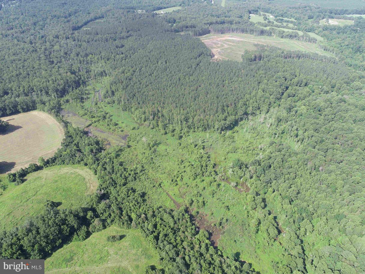 BANNISTER TOWN ROAD (TRACT DTOF LOUISA), LOUISA, Virginia 23093, ,Farm,For sale,BANNISTER TOWN ROAD (TRACT DTOF LOUISA),VALA2008244 MLS # VALA2008244