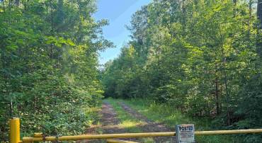 BANNISTER TOWN ROAD (TRACT DTOF LOUISA), LOUISA, Virginia 23093, ,Farm,For sale,BANNISTER TOWN ROAD (TRACT DTOF LOUISA),VALA2008244 MLS # VALA2008244
