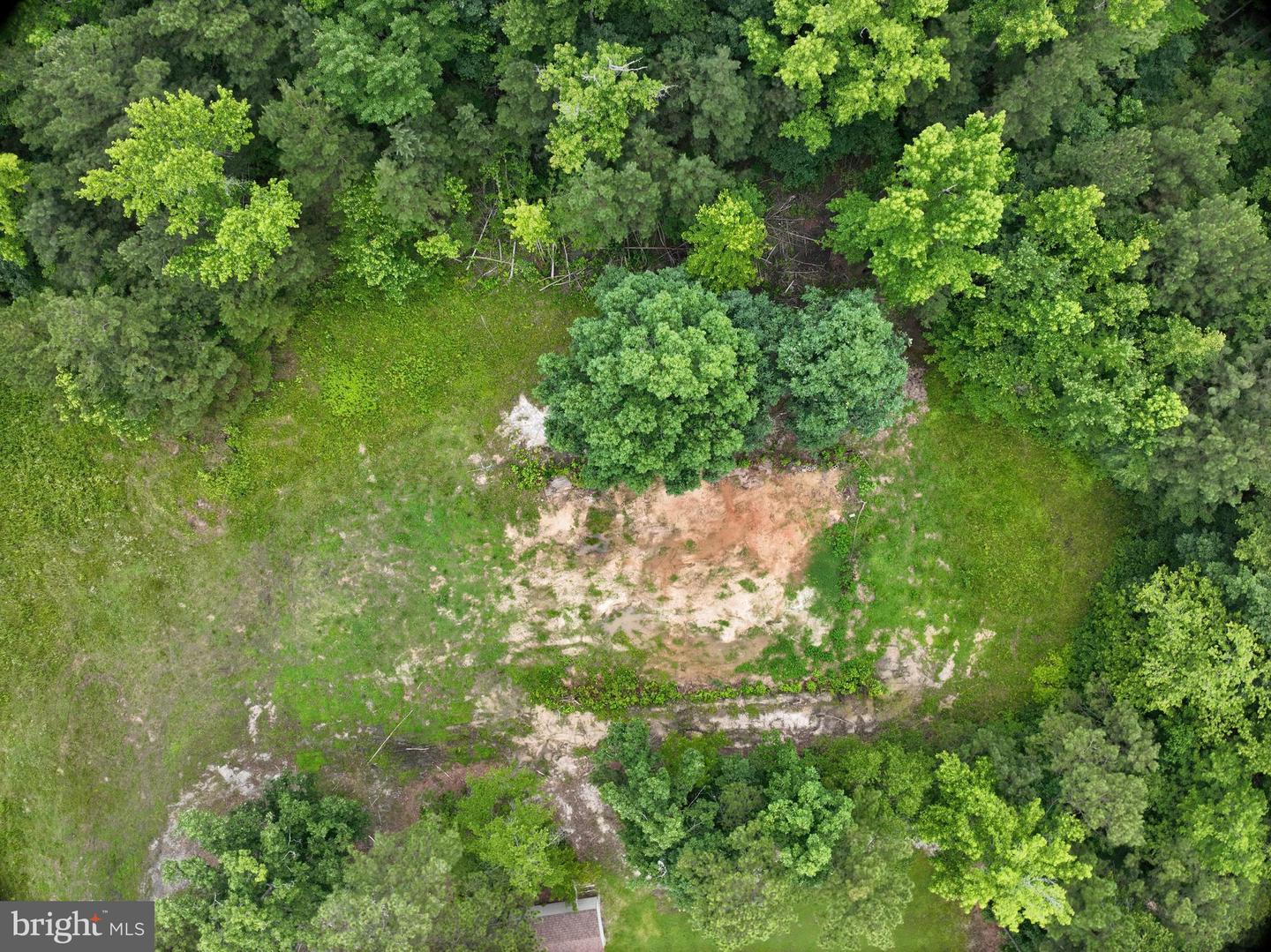 0 BLUE STAR HWY, JARRATT, Virginia 23867, ,Land,For sale,0 BLUE STAR HWY,VASX2000040 MLS # VASX2000040