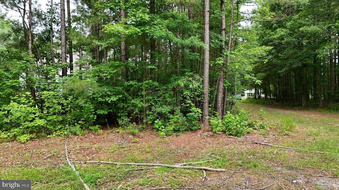 0 BLUE STAR HWY, JARRATT, Virginia 23867, ,Land,For sale,0 BLUE STAR HWY,VASX2000040 MLS # VASX2000040