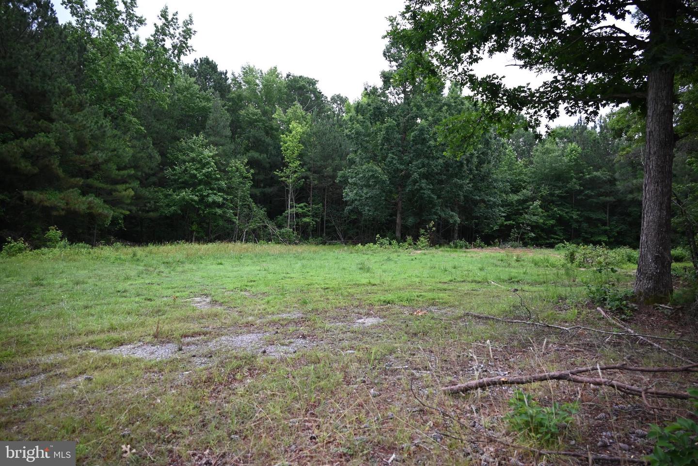 0 BLUE STAR HWY, JARRATT, Virginia 23867, ,Land,For sale,0 BLUE STAR HWY,VASX2000040 MLS # VASX2000040