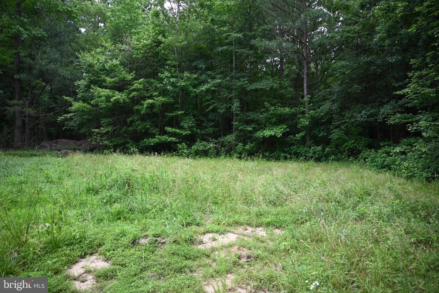 0 BLUE STAR HWY, JARRATT, Virginia 23867, ,Land,For sale,0 BLUE STAR HWY,VASX2000040 MLS # VASX2000040