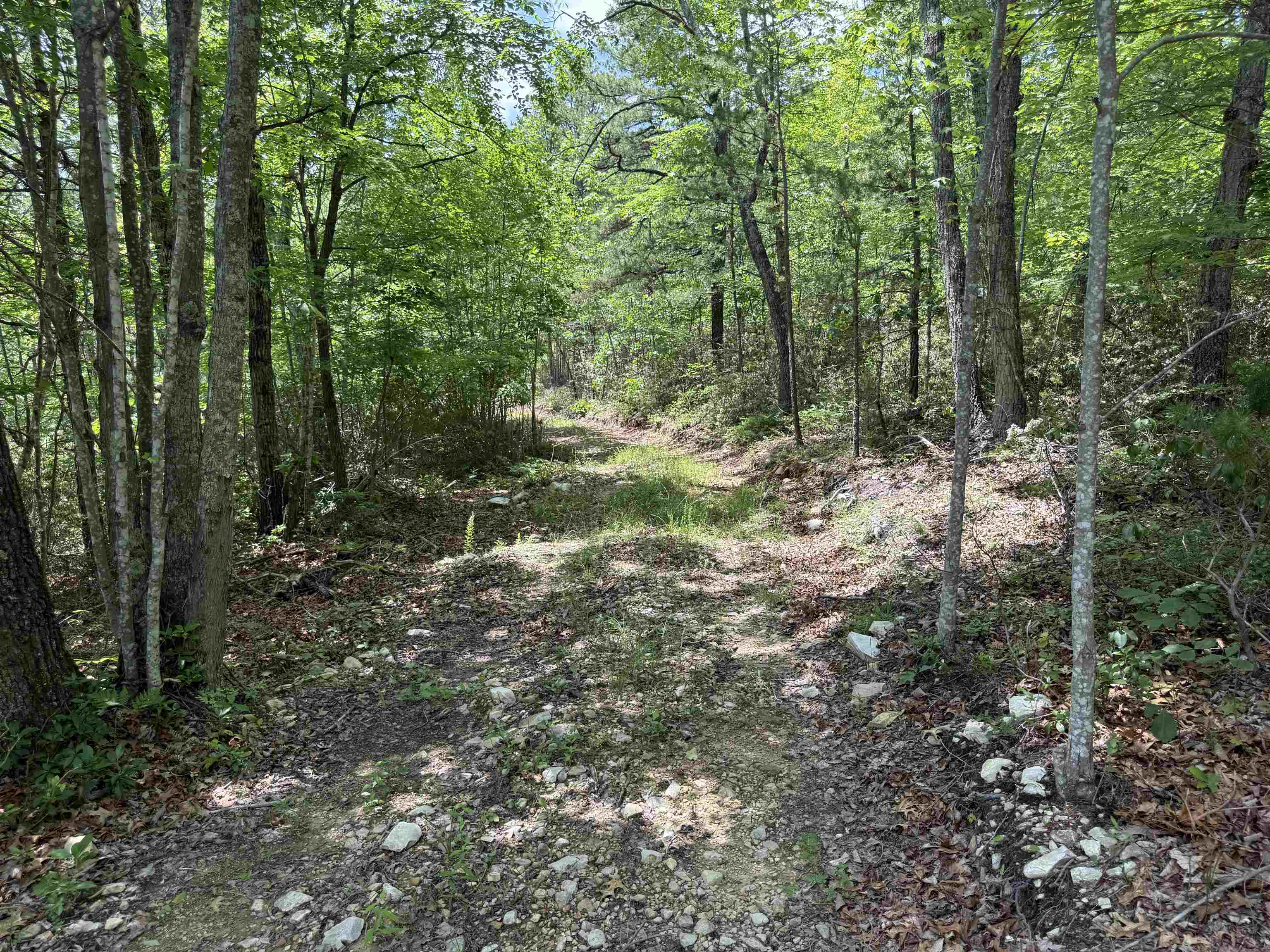 TBD MOUNTAIN TOP LN, CRIMORA, Virginia 24431, ,Land,TBD MOUNTAIN TOP LN,666665 MLS # 666665