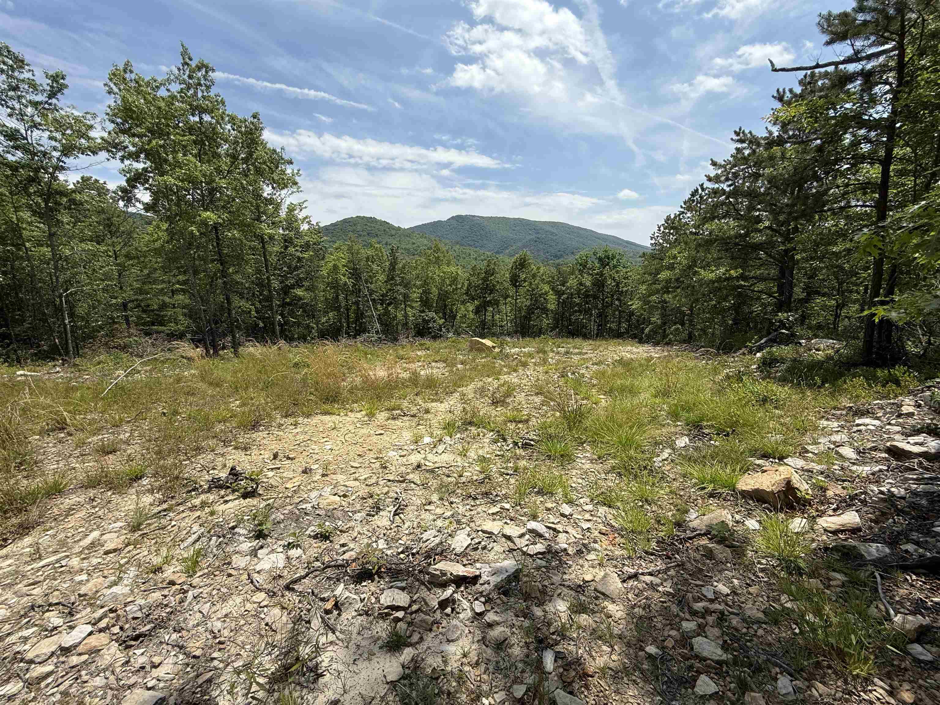 TBD MOUNTAIN TOP LN, CRIMORA, Virginia 24431, ,Land,TBD MOUNTAIN TOP LN,666665 MLS # 666665