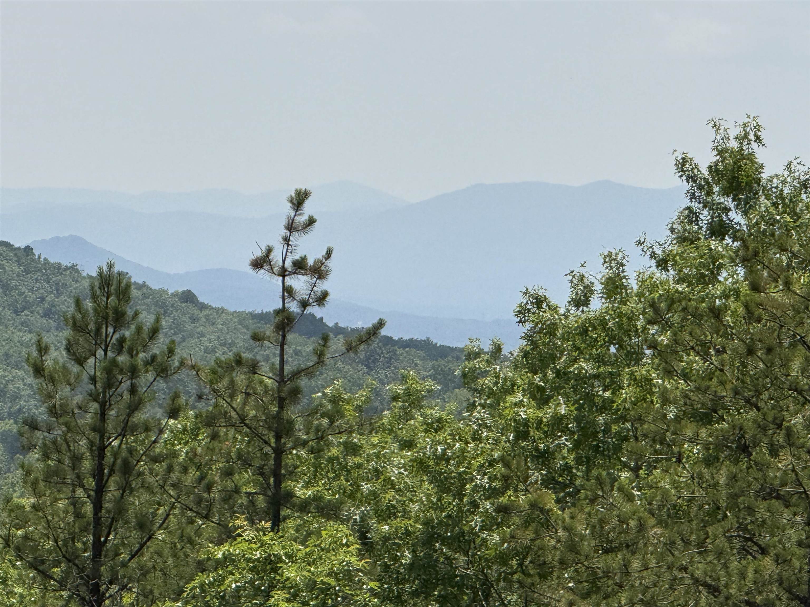 TBD MOUNTAIN TOP LN, CRIMORA, Virginia 24431, ,Land,TBD MOUNTAIN TOP LN,666665 MLS # 666665