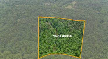 1202 PACK HORSE RD, CROSS JUNCTION, Virginia 22625, ,Land,For sale,1202 PACK HORSE RD,VAFV2019544 MLS # VAFV2019544