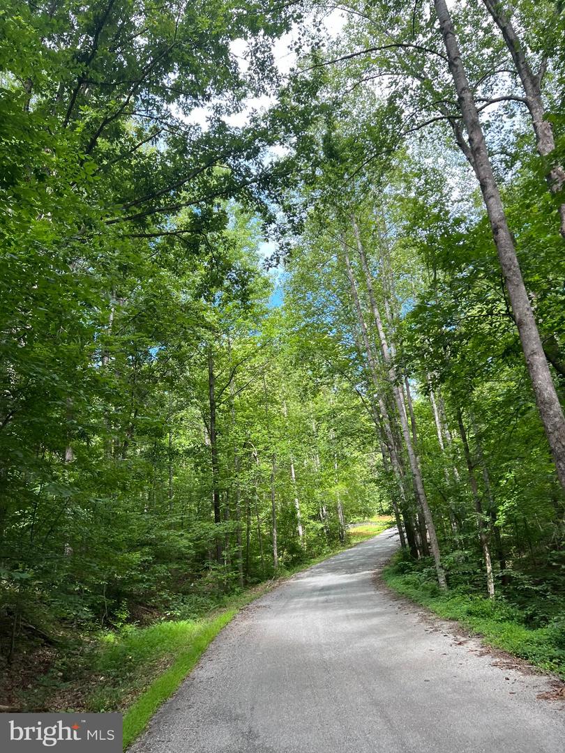 6514 WINSTON LN, SPOTSYLVANIA, Virginia 22551, ,Land,For sale,6514 WINSTON LN,VASP2031948 MLS # VASP2031948
