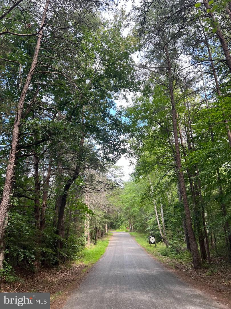 6514 WINSTON LN, SPOTSYLVANIA, Virginia 22551, ,Land,For sale,6514 WINSTON LN,VASP2031948 MLS # VASP2031948