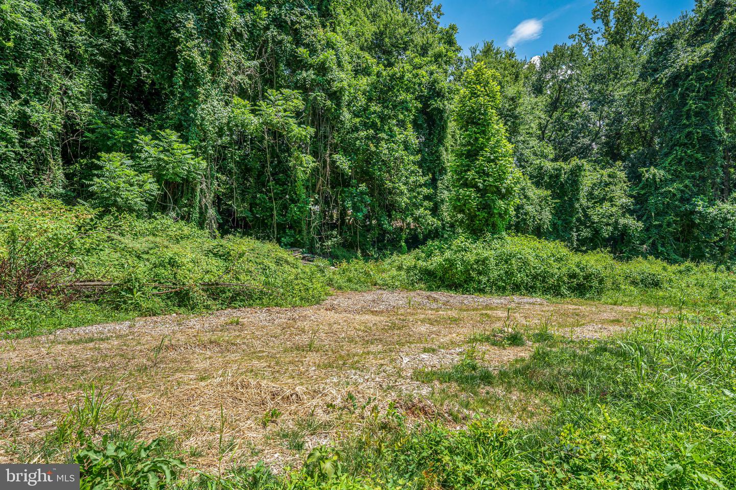 7701 LEWINSVILLE RD, MCLEAN, Virginia 22102, ,Land,For sale,7701 LEWINSVILLE RD,VAFX2253496 MLS # VAFX2253496