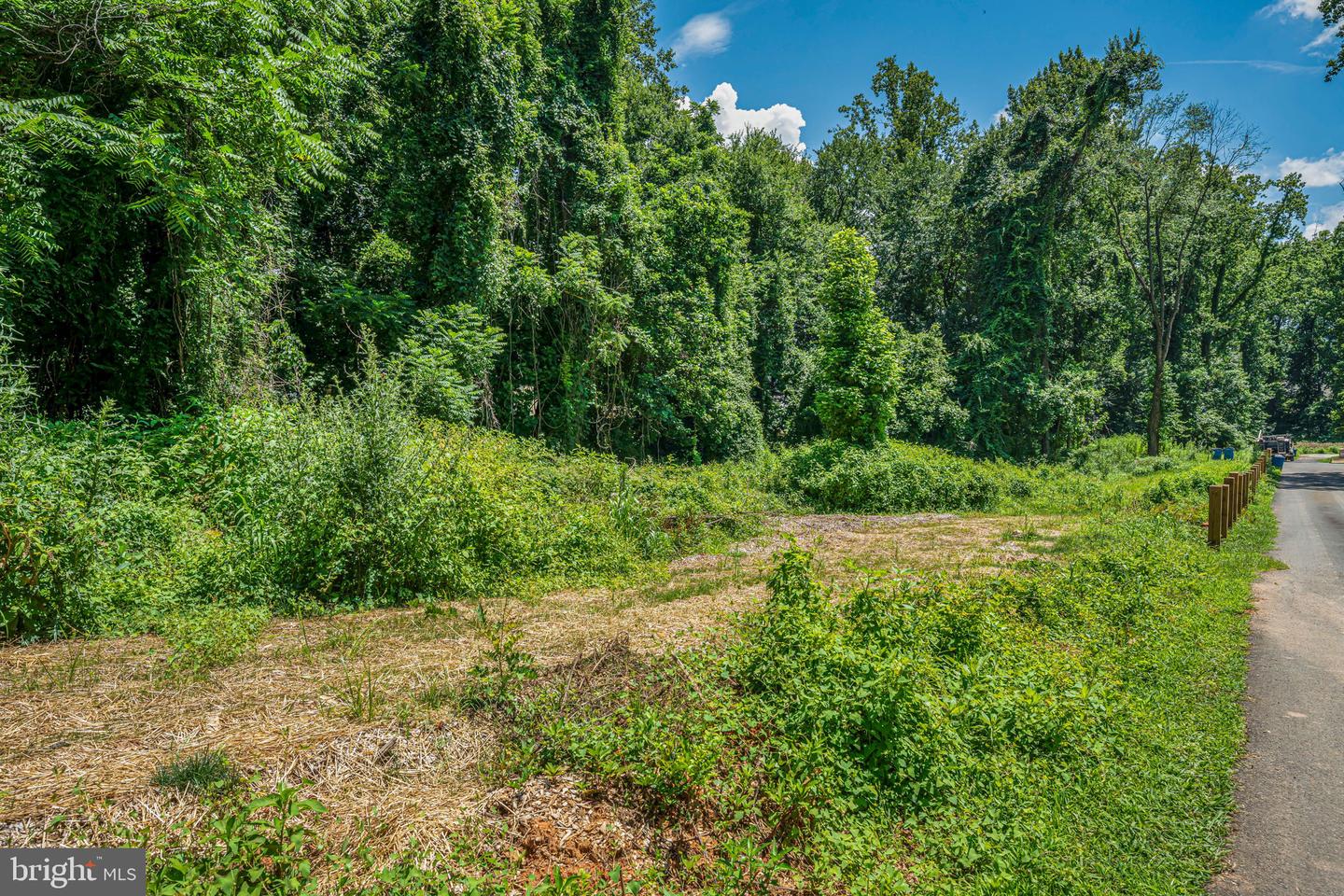 7701 LEWINSVILLE RD, MCLEAN, Virginia 22102, ,Land,For sale,7701 LEWINSVILLE RD,VAFX2253496 MLS # VAFX2253496