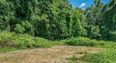 7701 LEWINSVILLE RD, MCLEAN, Virginia 22102, ,Land,For sale,7701 LEWINSVILLE RD,VAFX2253496 MLS # VAFX2253496